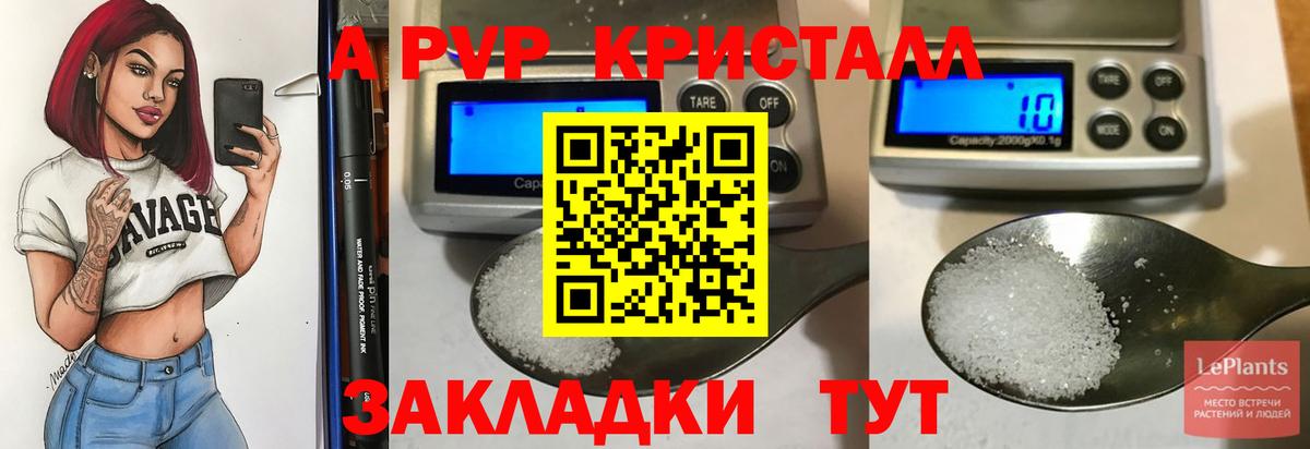 APVP СК Алейск