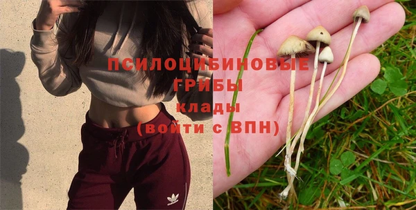 амф Михайловка