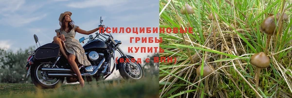 амф Михайловка
