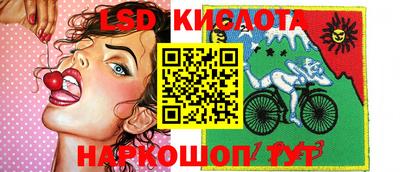 шишки Абакан