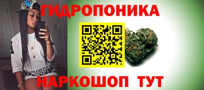 PSILOCYBIN Абакан