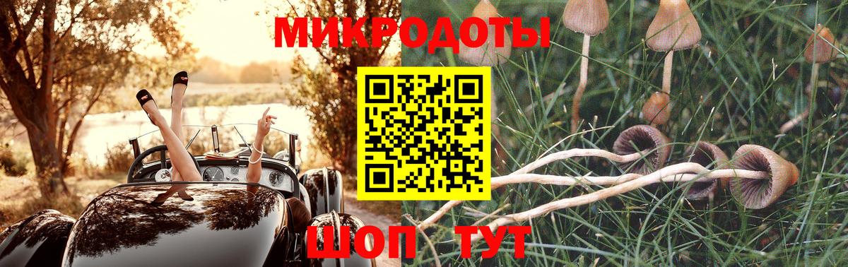 Алейск  Галлюциногенные грибы Cubensis  Вход с VPN 